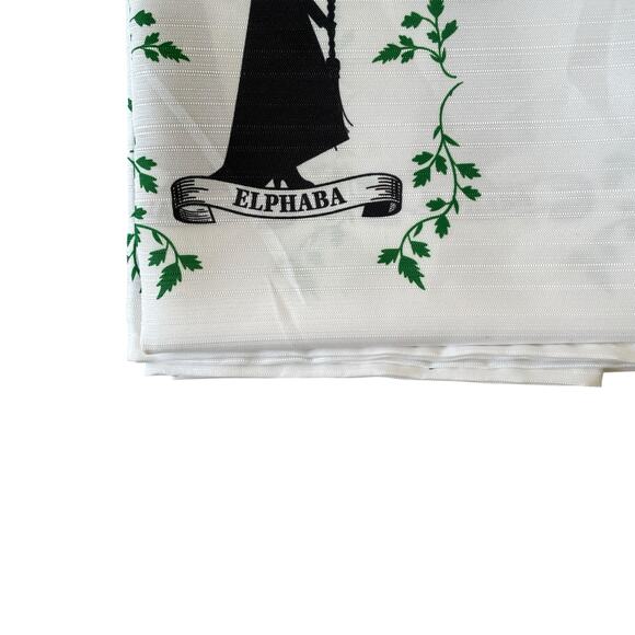 Wicked the Musical Elphaba Fabric Shower Curtain 72x72 NEW - Picture 5 of 9